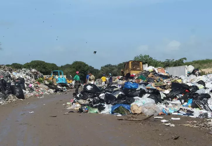 Usan áreas verdes como basureros clandestinos