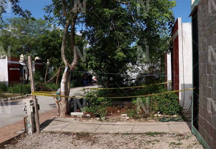 Yucat N Hallan A Mujer Muerta Dentro De Su Casa Sospechan De Feminicidio