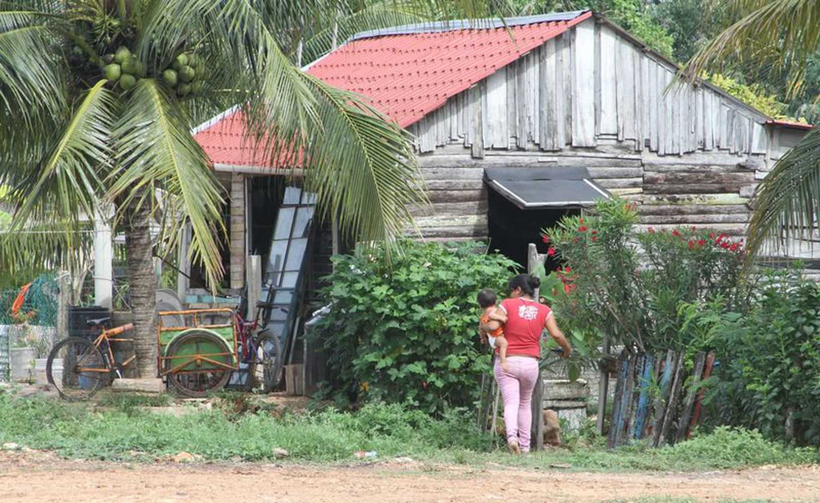 Chetumal Aumentan Enfermedades En Zonas Marginadas De Q Roo