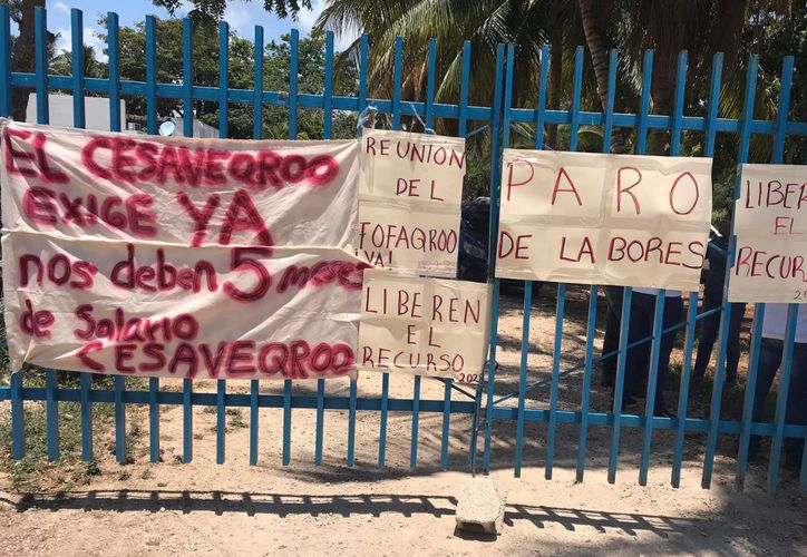 Por Falta De Pagos Trabajadores De Sagarpa Preparan Manifestaci N En