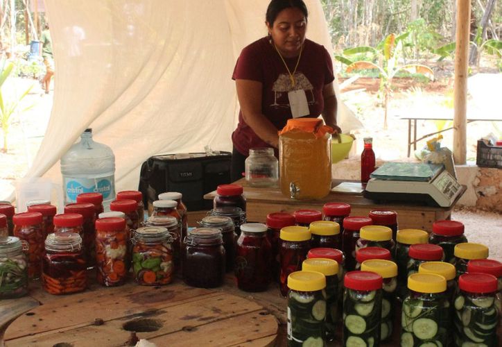 Anuncian Primera Feria Peninsular Mujeres En Agroecolog A En La Zona Maya