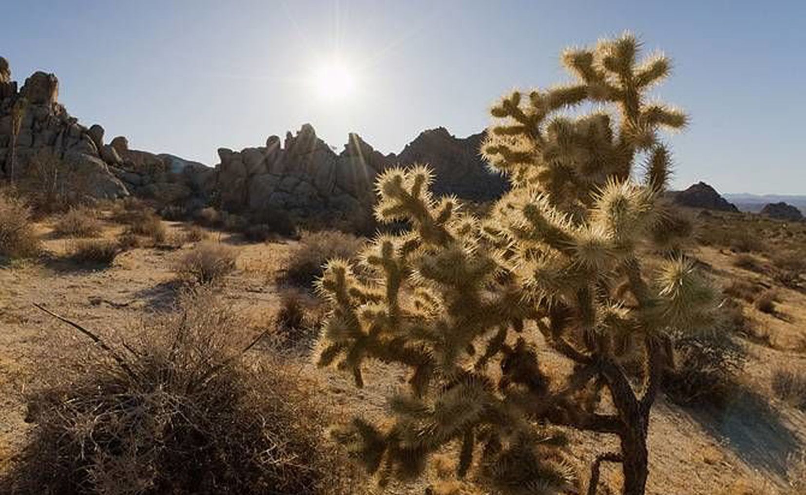 Mojave El Desierto Que Llora Al Amanecer