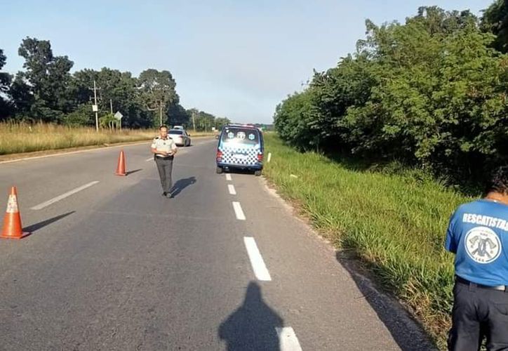 Hallan Cuerpo De Hombre Sin Vida En La Carretera Chetumal Bacalar