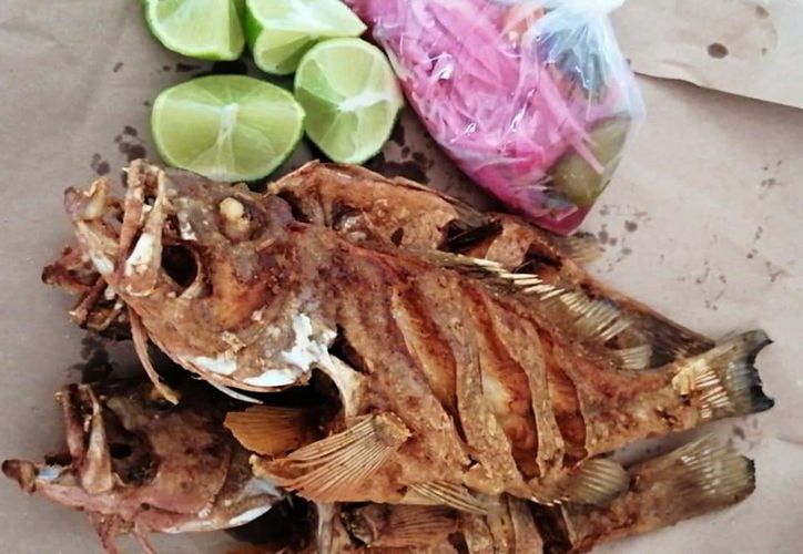 Viene Aumento Dr Stico Al Precio Del Pescado En La Costa De Yucat N