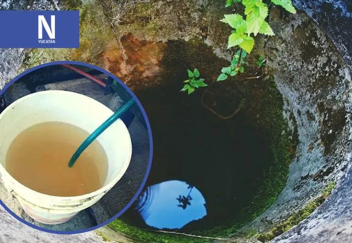 El Agua De Yucatán Está En Alto Riesgo De Contaminación 6383