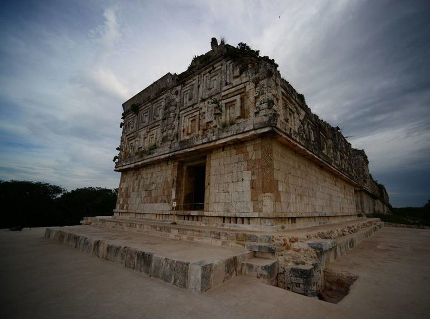 Yucatan Inah Identifican Especies De Plantas Medicinales En