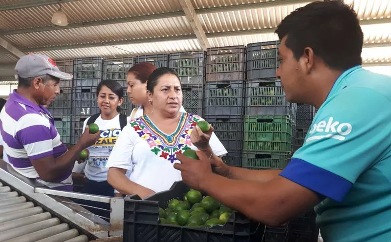 La candidata a diputada por el Distrito 13 Rocío González, visitó la cooperativa Limones del Caribe. (Cortesía)