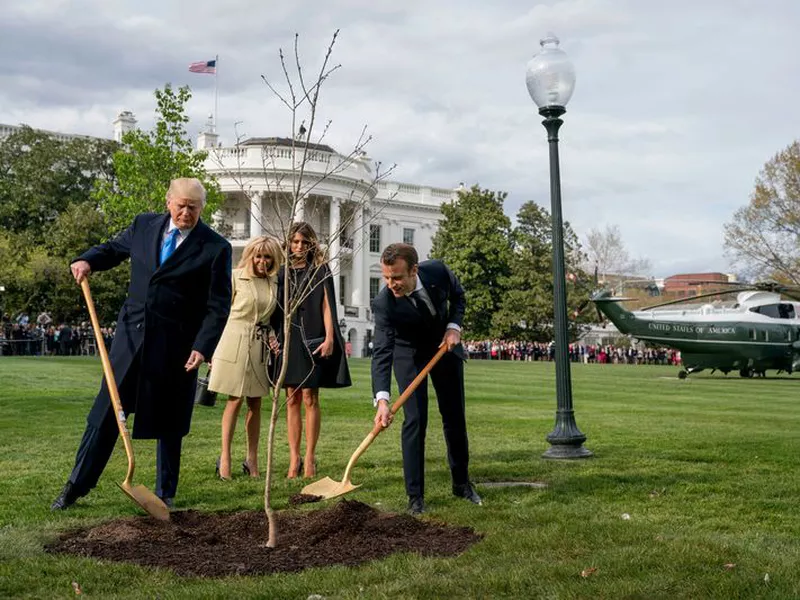 On the right, empty area where a tree was planted by U.S. President Donald Trump and
French President Emmanuel Macron during ceremony on the South Lawn of the White House. (AP)