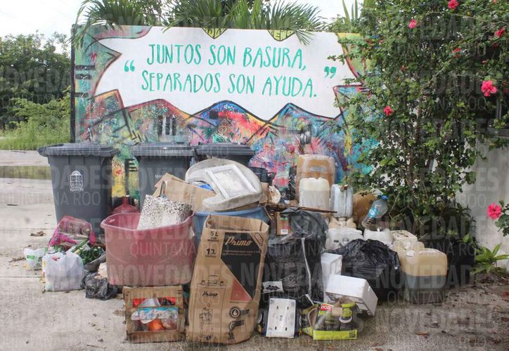 Playa Del Carmen Intercambio De Plasticos Por Plantas Todo Un Exito