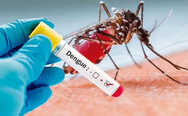 Resultado de imagen para epidemia de dengue
