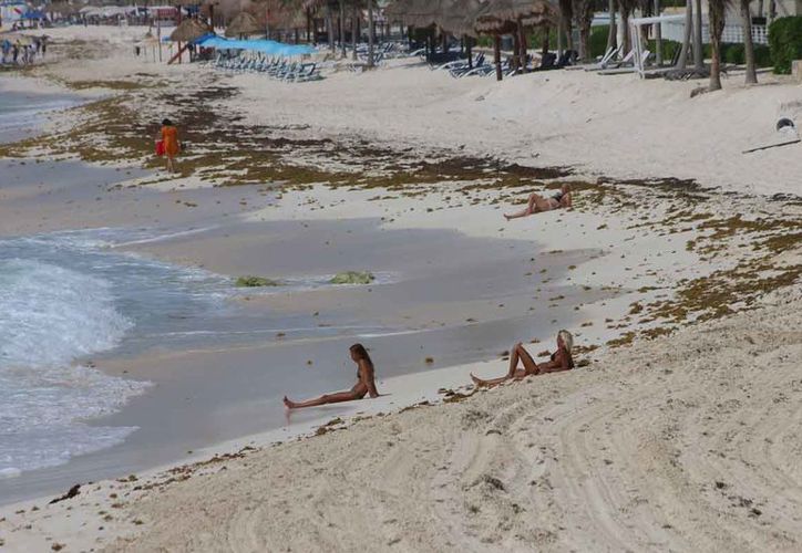 Cancún Quedan Estancados Proyectos De Recuperación De Playas En Quintana Roo 7512