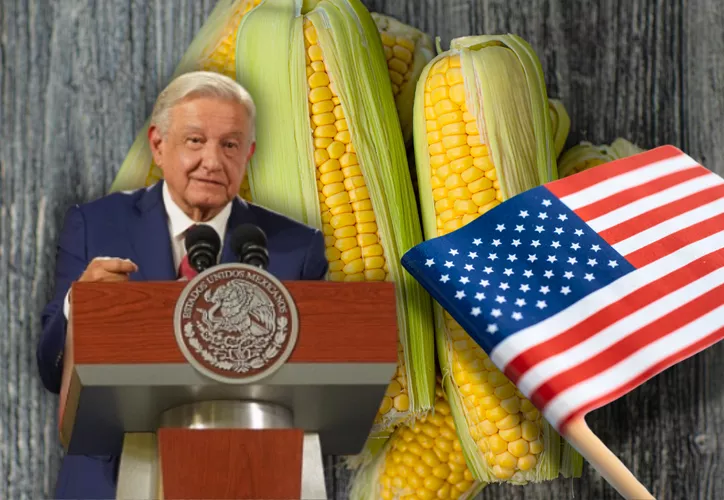 AMLO: EU no ha aceptado investigación conjunta sobre maíz transgénico