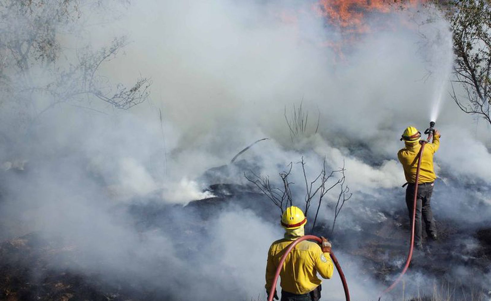 México Azotan Al País 130 Incendios Forestales