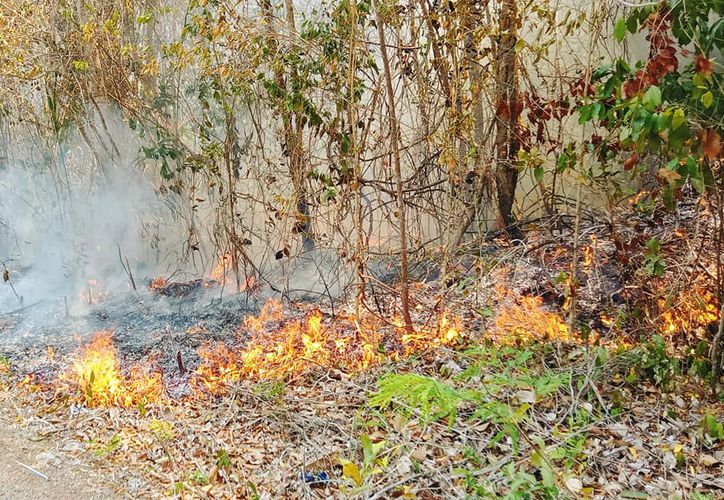 Periodo Crítico De Incendios Devora Más De 28 Mil Hectáreas En Q Roo