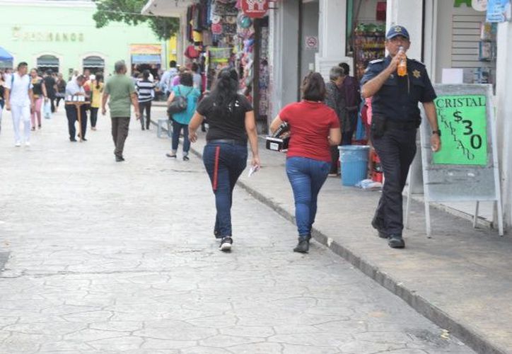 Una De Cada Cinco Mujeres De Mérida Ha Sufrido Acoso