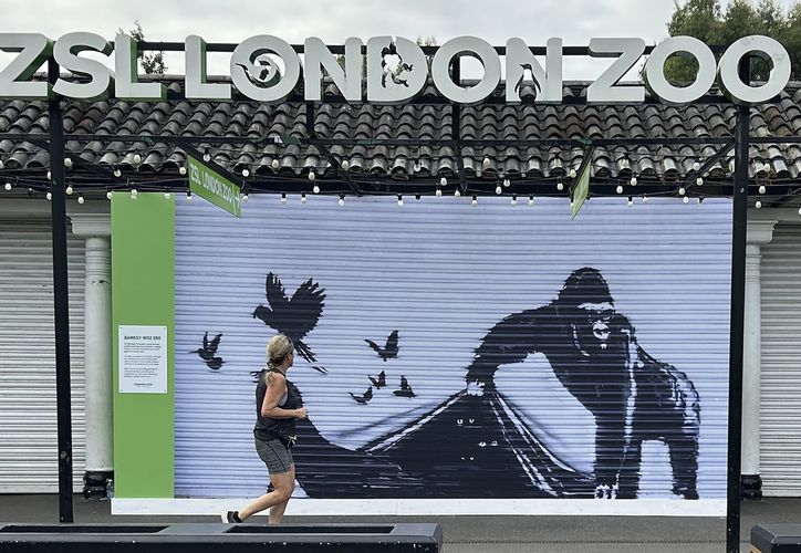 Banksy animal mural removed from London Zoo; efforts to protect it