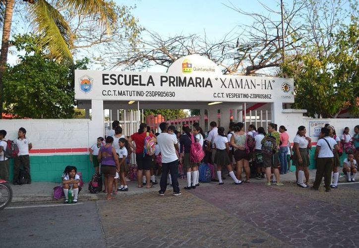 riviera-maya | Celebran escuelas Día del Libro