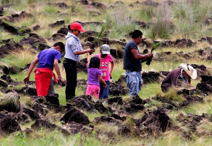 Ejidatarios migrantes ya podrán heredar derechos agrarios