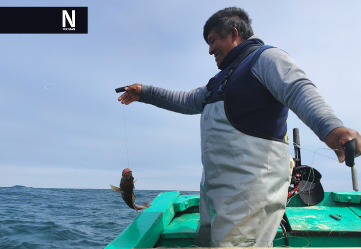 Training for Fishermen in Yucatán Leads to Decrease in ‘Safe at Sea’ Program Applications