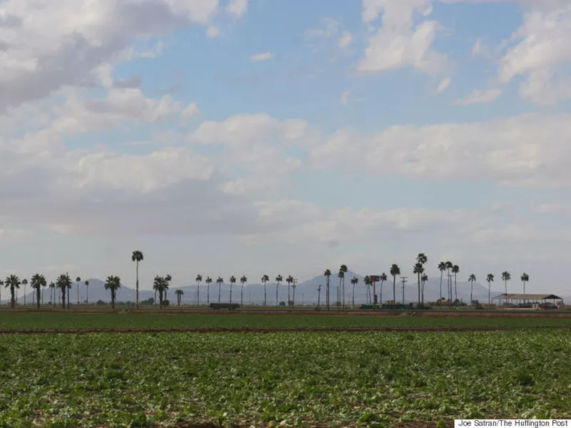 The lettuce infected were traced to a harvest in the Yuma region. (Internet)