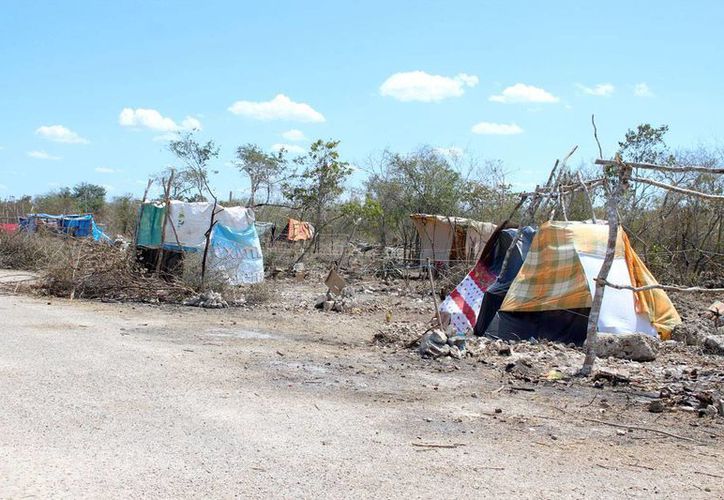 Yucatán: aumenta invasión de terrenos en Flamboyanes, cerca de Progreso ...