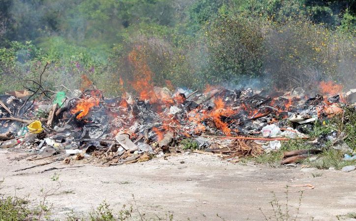 Quema De Basura Genera Graves Problemas De Salud Novedades Quintana Roo