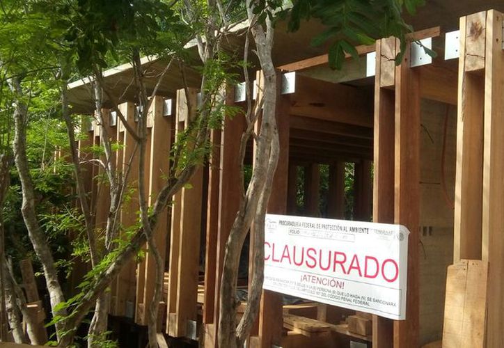 Profepa Clausura Obra Por Daños Ambientales En Mazunte