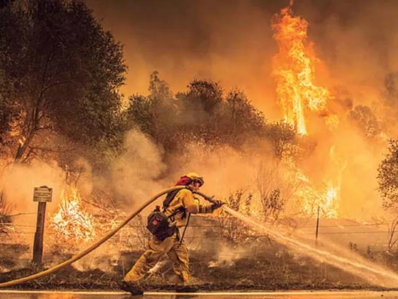 A Cal Fire firefighter waters down a back burn on Cloverdale Rd., near the town of Igo, Calif.