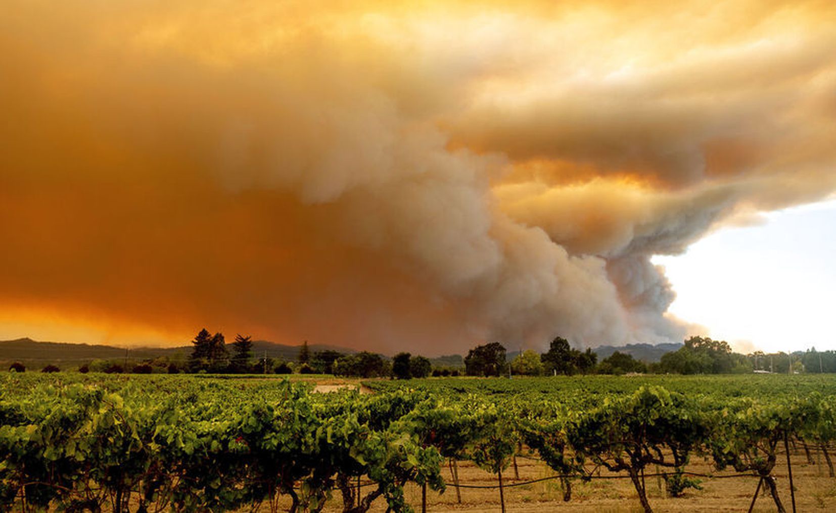 Incendios forestales en California cobran la vida de seis personas