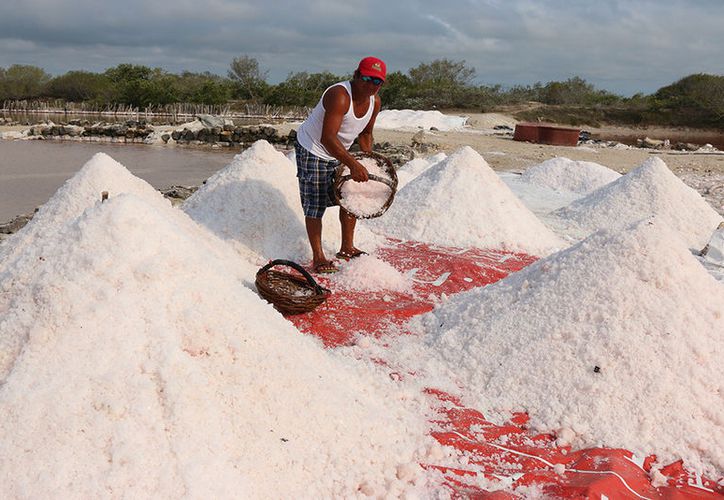 Así Es Cómo Se Produce La Sal En Yucatán 9804