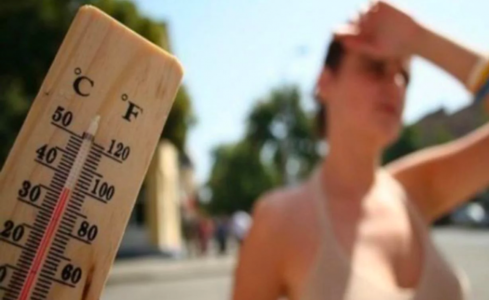 Ciencia Y Salud Cómo Evitar Los Golpes De Calor 7808