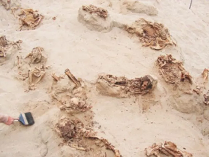 Handout photo provided by National Geographic shows more than a dozen
bodies preserved in dry sand for more than 500 years. (AP)