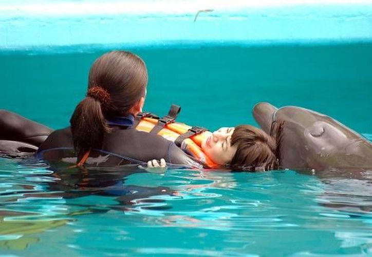 Delphinus Apoyara Con Terapias Asistidas Con Delfines Gratis