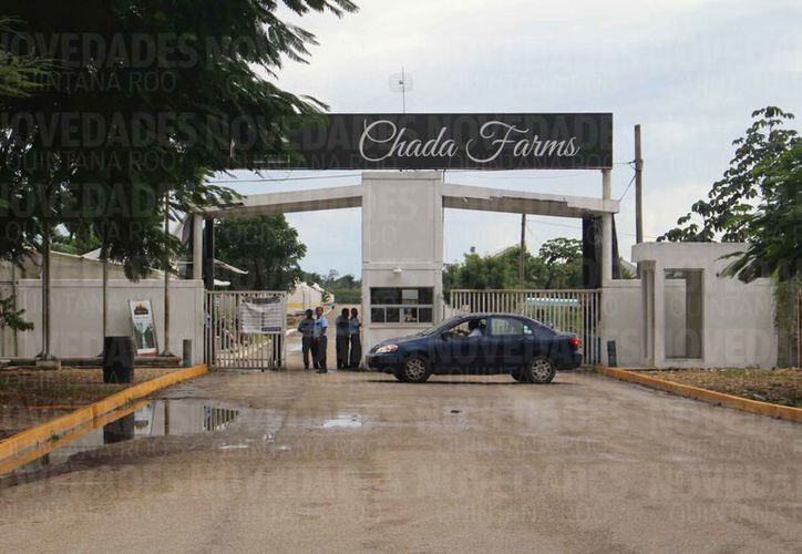 Chetumal Confirman Remate De Hidroponia Maya Se Vendi