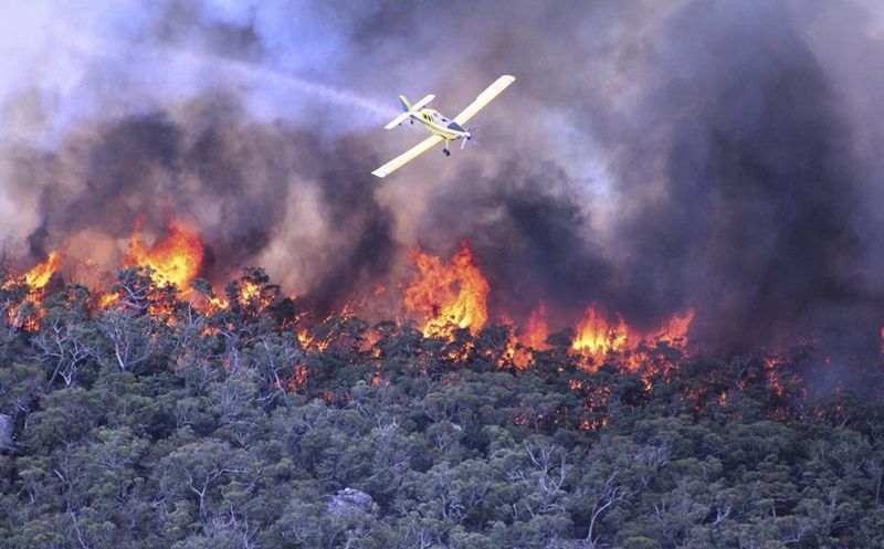 Resultado de imagen de incendio australia