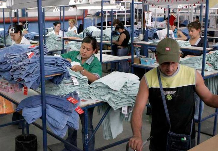 Revelan Sectores Con Mayor Crecimiento De Cifra De Empleos En Yucatán Grupo Sipse 0883