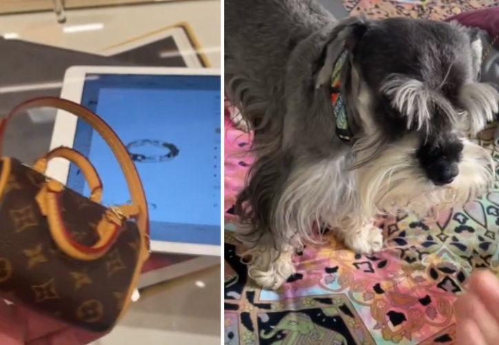 Video: Esto es lo que cuesta una bolsa Louis Vuitton para recoger