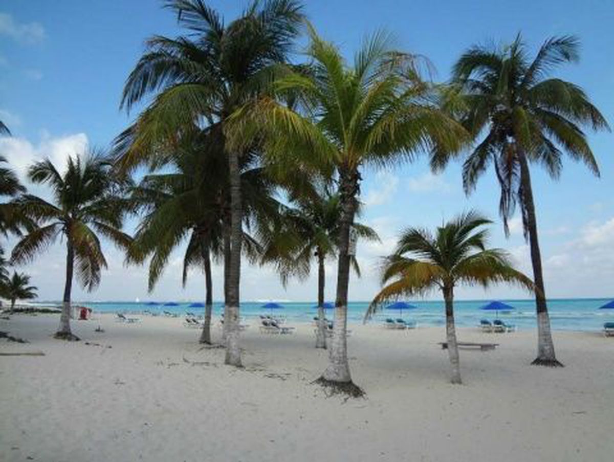 Playa Norte Entre Las Mejores Del Mundo Según Tripadvisor