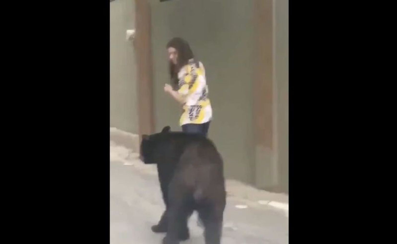 Lo Más Viral | ¿Otra Vez? Difunden Nuevo Video De Un Oso Siguiendo A ...