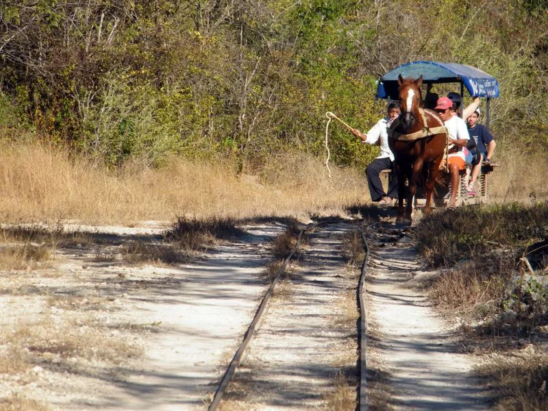 El recorrido por los cenotes consta de nueve kilómetros. (Milenio Novedades)
