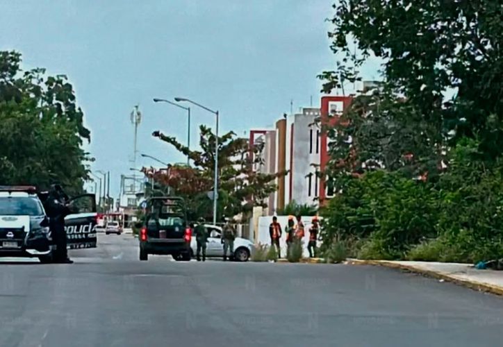 Novedades Quintana Roo 🔥 Últimas Noticias Hoy 23 De Enero De 2024