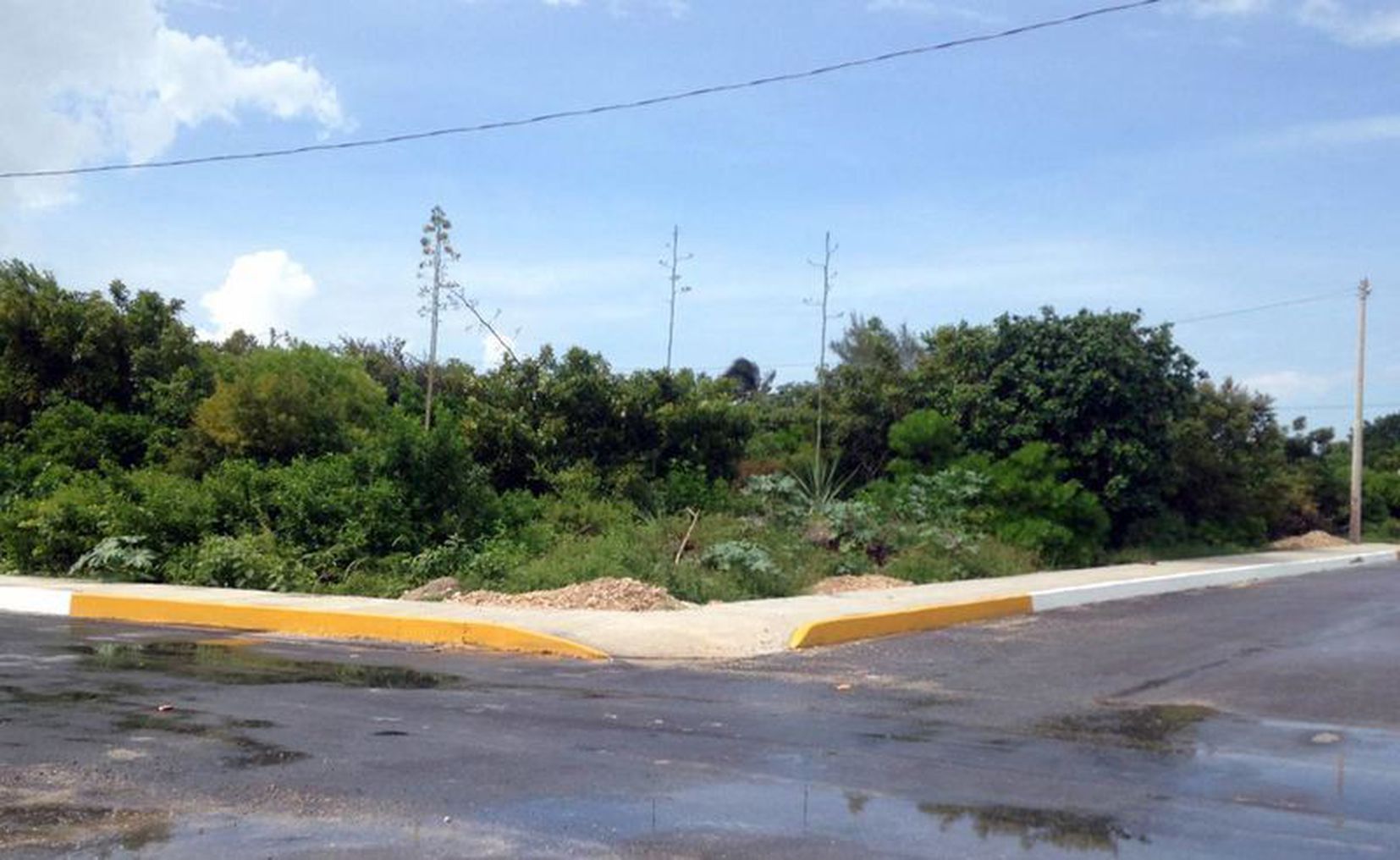 Mérida Regularán Venta De Lotes De Inversión En Yucatán 9477